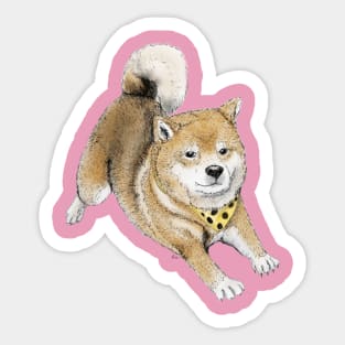 Shiba Inu Sticker